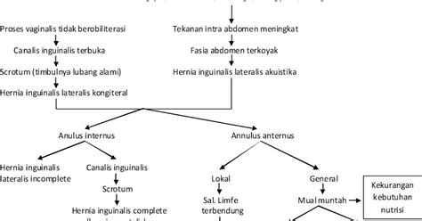 pathway hernia inguinalis lateralis
